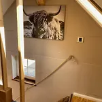 Tinyloft